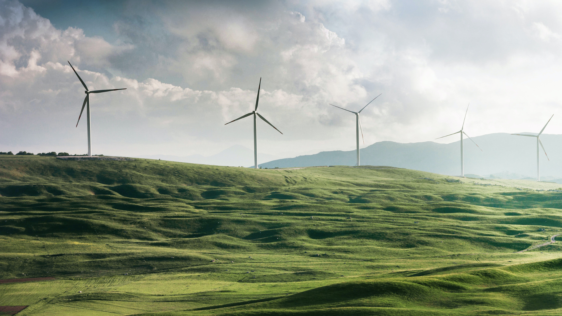 Municipality climate plans: dear Mayor, now what?