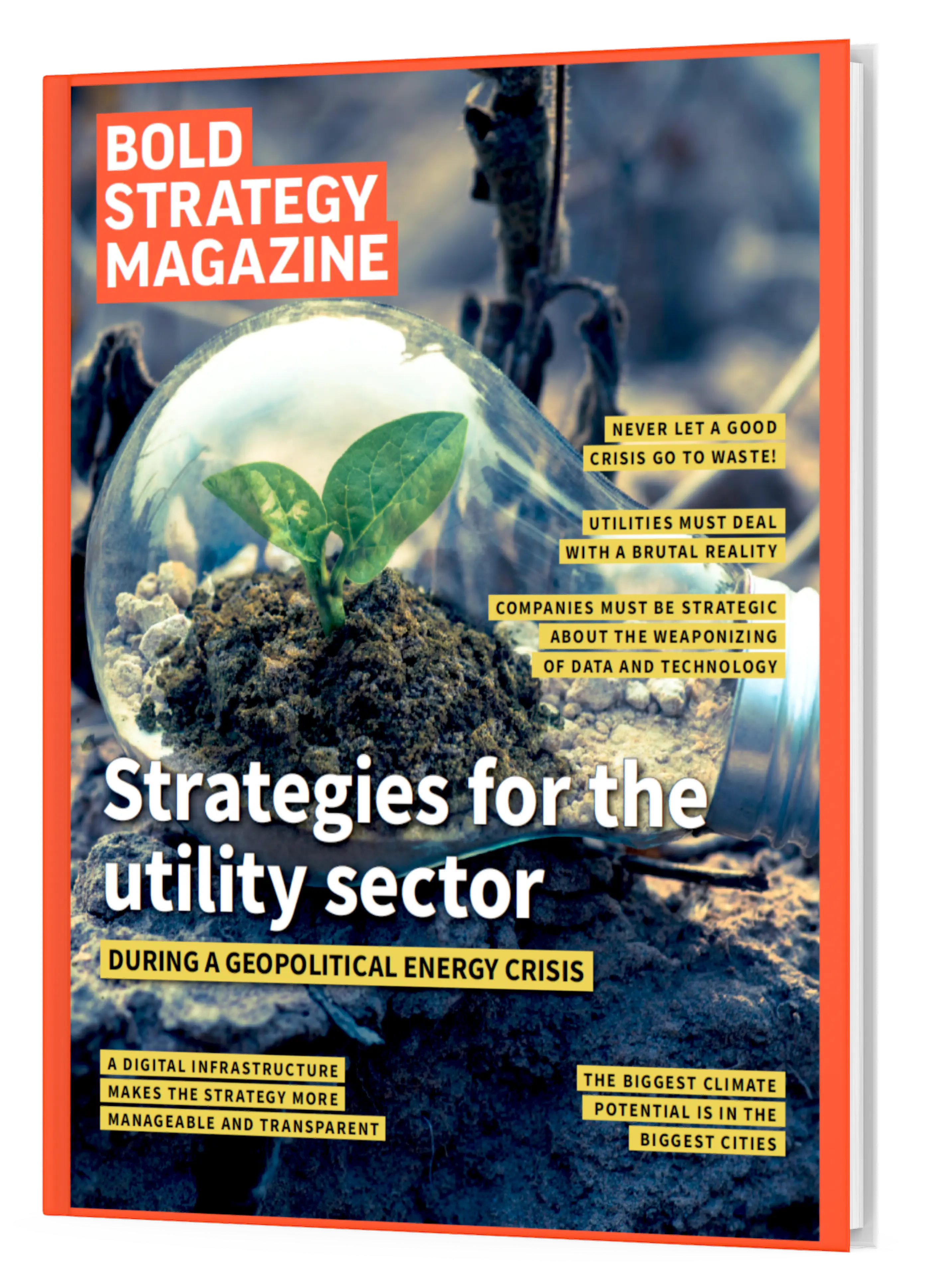 Strategies for the utility sector